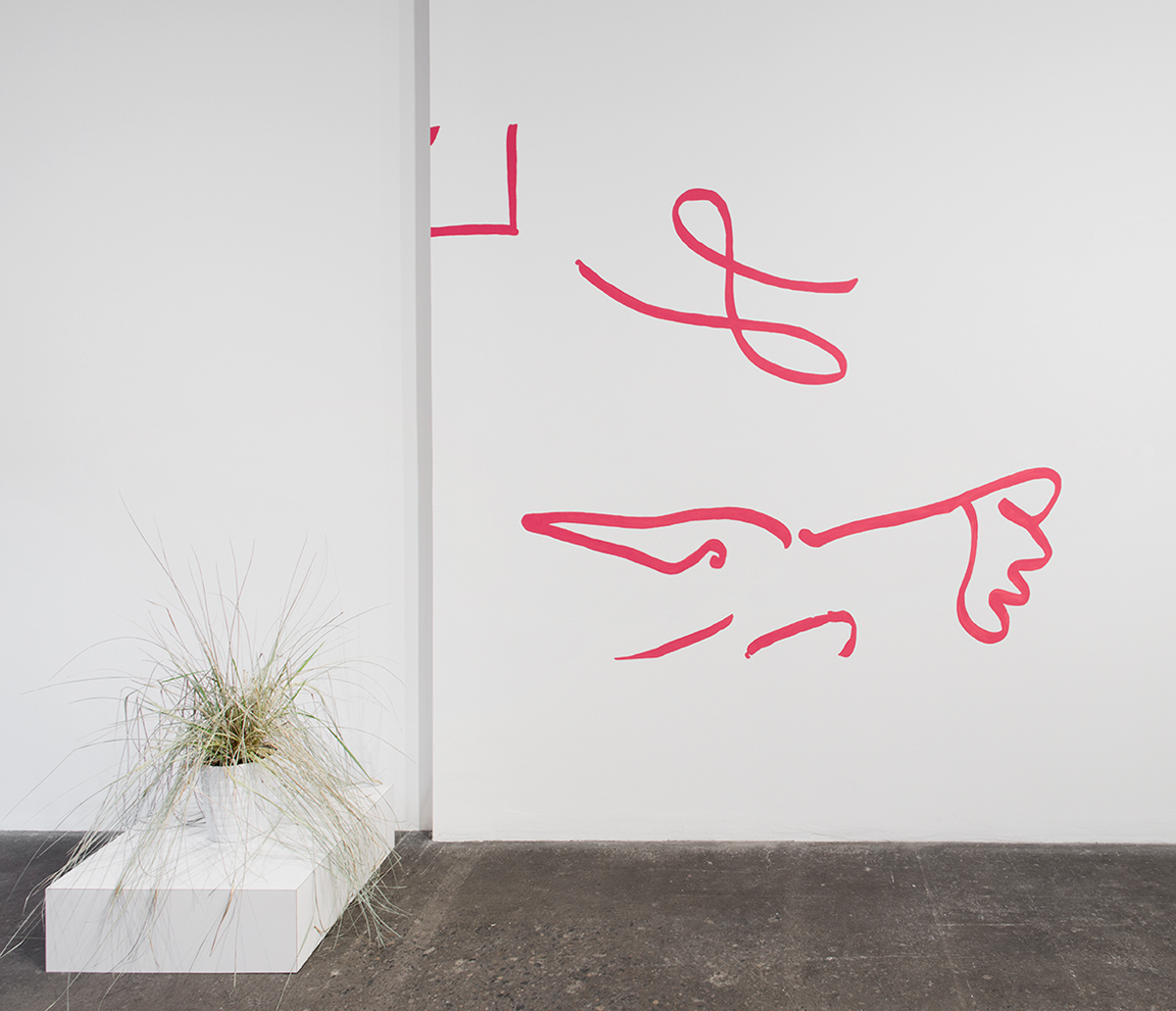 Untitled (Cartoon of Rich and Poor Peacocks), 2014. Flashe on wall. 72 x 85 inches.