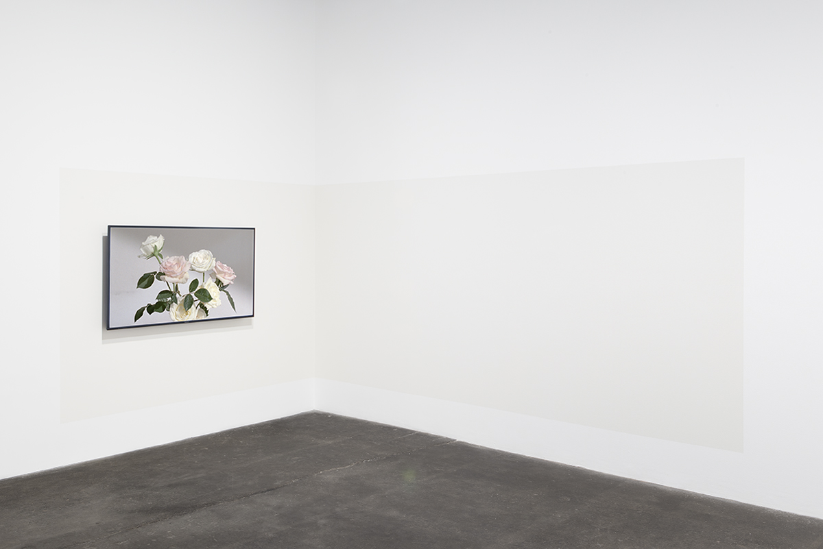 Allegory, or, The Perils of The Present Tense, 2015. 16mm film transferred to HD video, color, no sound. 10:20 minutes.