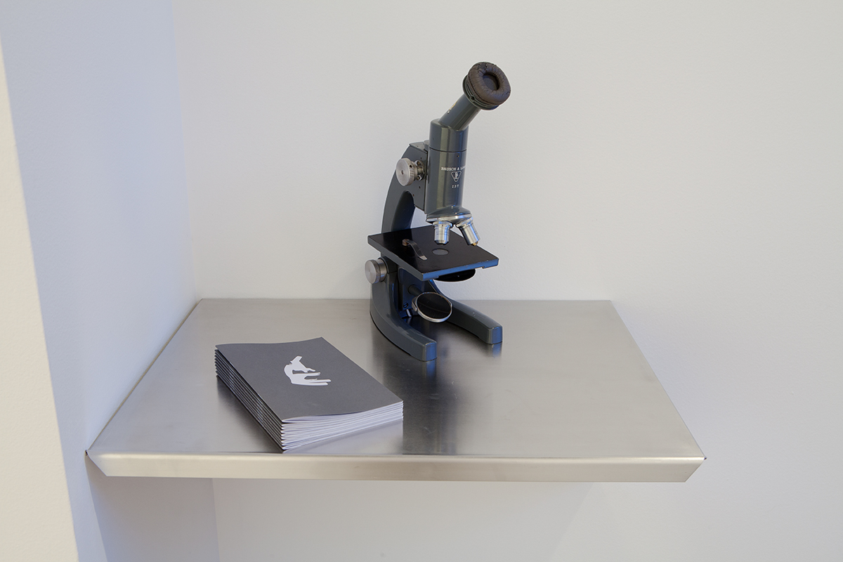 Natasha Sadr Haghighian, The Microscope, 2006. Modified microscope, sound installation, brochure. Dimensions variable. Courtesy Johann König, Berlin.